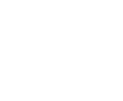 Talinn Black Nights Film Festival